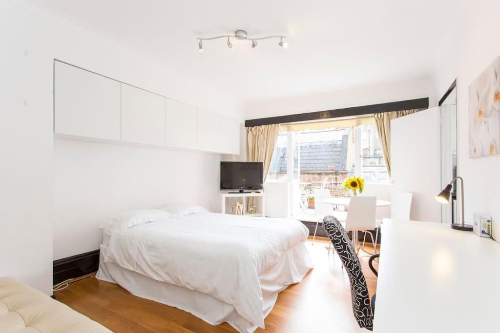 Baker Street With Terrace Apartment London